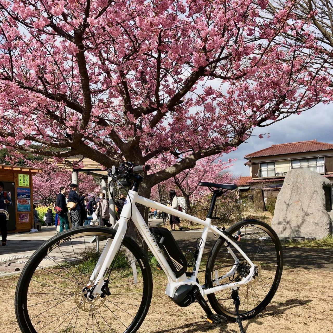 Kona Stay Bicycle Resort Izunokuni Exterior photo